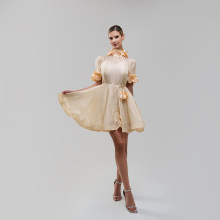 Zimmermann Luminosity Liftoff Mini Dress